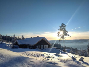 Coazy cabin with sauna